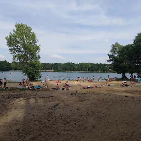 Cozy Hut In The Pine Forest Plavecky Stvrtok