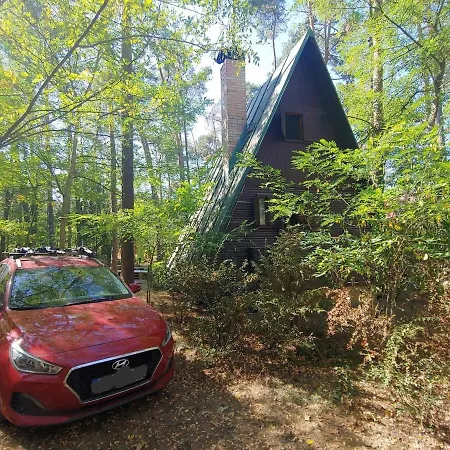 Dom wakacyjny Cozy Hut In The Pine Forest