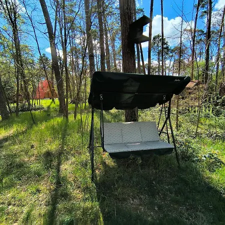 Cozy Hut In The Pine Forest Dom wakacyjny *