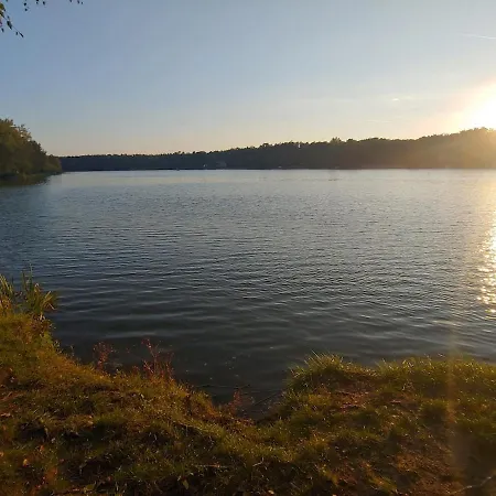 Cozy Hut In The Pine Forest Plavecky Stvrtok